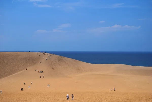Desert dunes overlooking sea — Stock Photo, Image