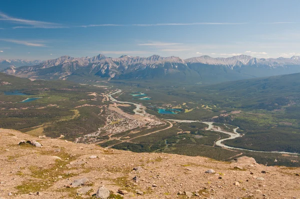 Jasper with mountain backdrop — Stock Photo, Image