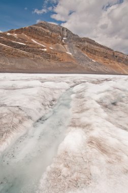 icefield Nehri