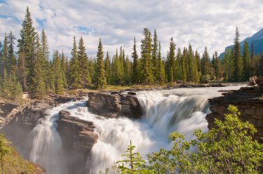 Majestic waterfalls with forest clipart