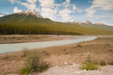 tundra Sulak alan peyzaj