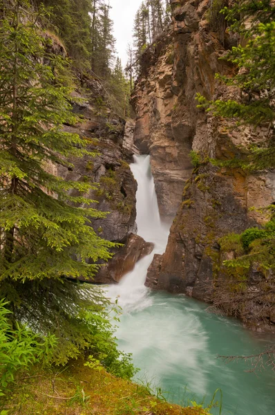 Waterval aan johnston canyon — Stockfoto