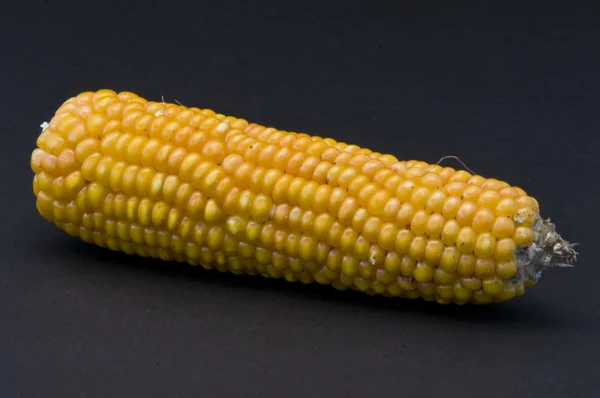Ein Mais für das Popcorn — Stockfoto