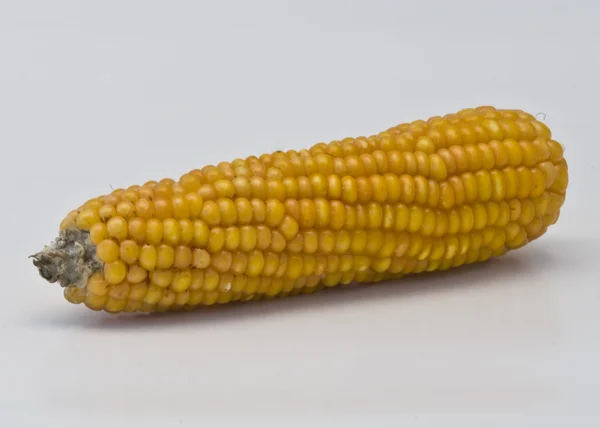 Кукуруза готова к попкорну — стоковое фото