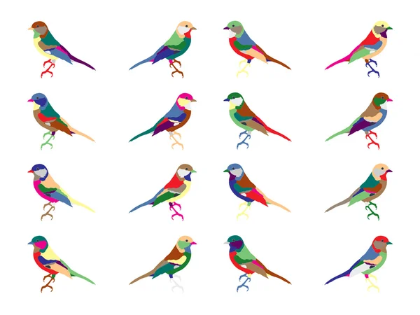 Vector de Aves de todo tipo de colores — Vector de stock