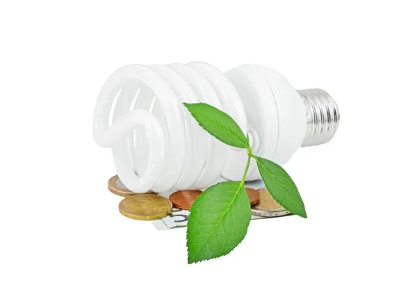 Energy saving light bulb, money and plant — Stock Photo, Image