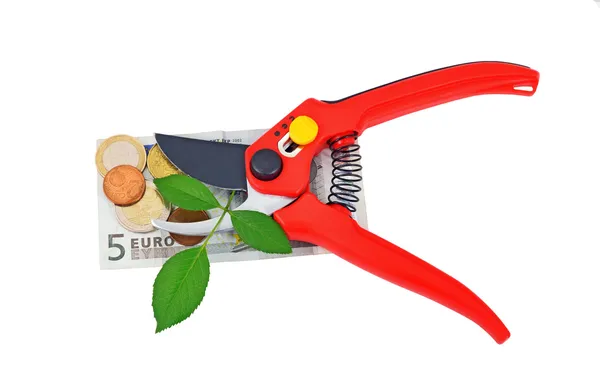 Garden pruner, green leaf and money — Stock Photo, Image