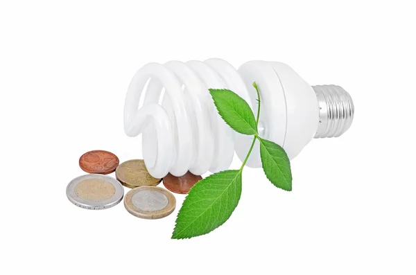 Enerji tasarruflu ampul, para ve bitki — Stok fotoğraf