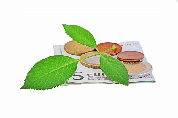 Dinheiro em euros e folha verde — Fotografia de Stock