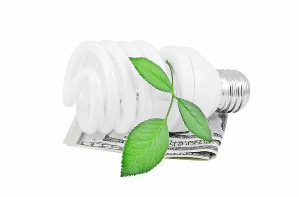 Lâmpada de poupança de energia, dinheiro e planta — Fotografia de Stock