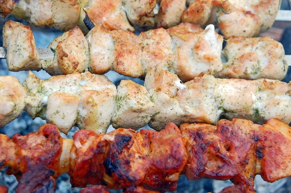 Snish kebab szaszłyk i gorące Węgle — Zdjęcie stockowe