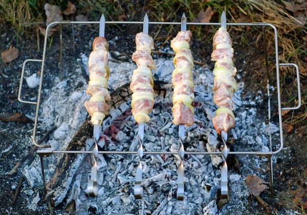 Syrové šíš kebab — Stock fotografie