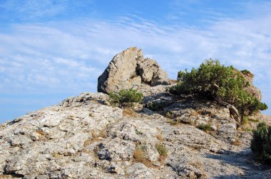 Rock peyzaj, noviy svet