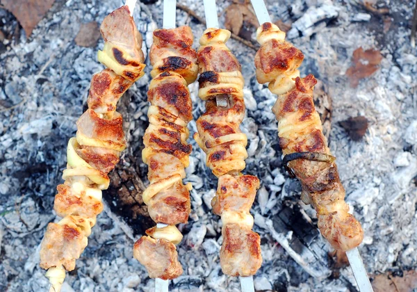 Kebab dello shish — Foto Stock