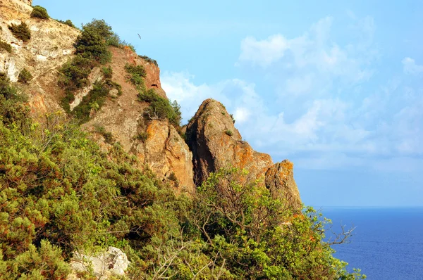 Rock, ardıç ağacı ve deniz — Stok fotoğraf