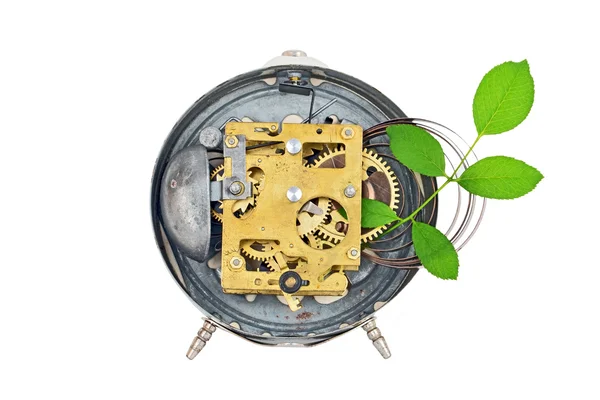 Zielonych technologii. wewnątrz mechanizmów zegarowych i roślin — Zdjęcie stockowe