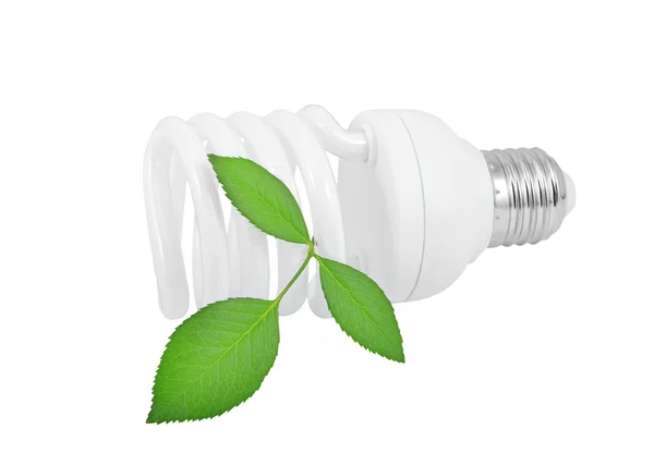 Energy saving light bulb and plant — Stock Photo, Image
