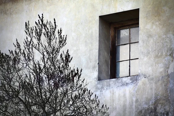 Grunge tek pencere — Stok fotoğraf