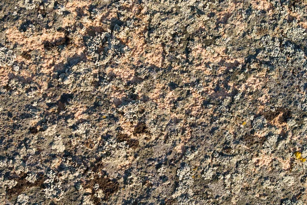 日当たりの良い照明で花こう岩の表面 — ストック写真