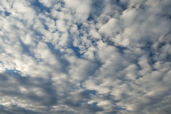 Nuages de cumulus blancs et ciel bleu. — Photo