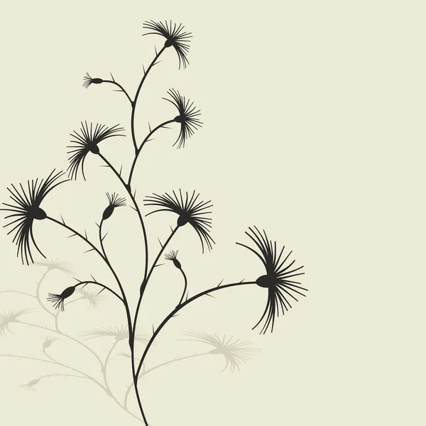 Suché květiny - vektorové ilustrace — Stockový vektor