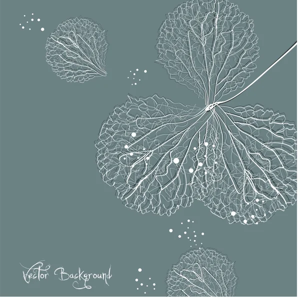 Fond de fleur vectoriel — Image vectorielle