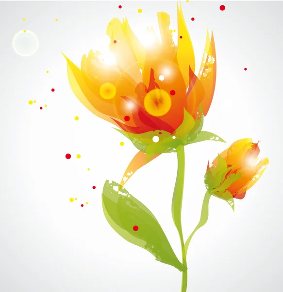 透明な花 — ストックベクタ