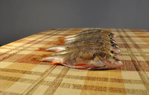 Ψάρια στο τραπέζι — Φωτογραφία Αρχείου