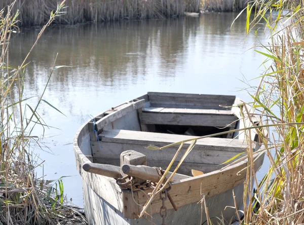 stock image Boat in the reeds