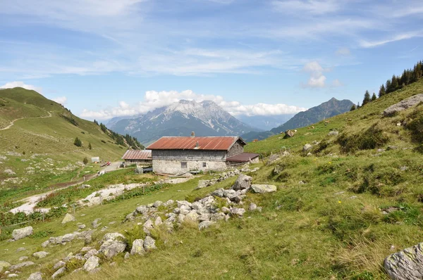 Zielony Alpach — Zdjęcie stockowe