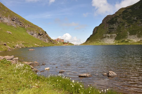 Πράσινο Άλπεις και μια λίμνη — Φωτογραφία Αρχείου
