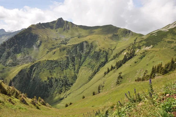 Yeşil Alpler — Stok fotoğraf