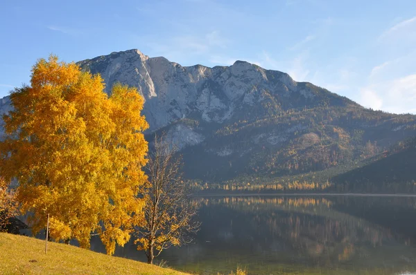 Κίτρινο δέντρο φθινόπωρο στην αλπική λίμνη — Φωτογραφία Αρχείου