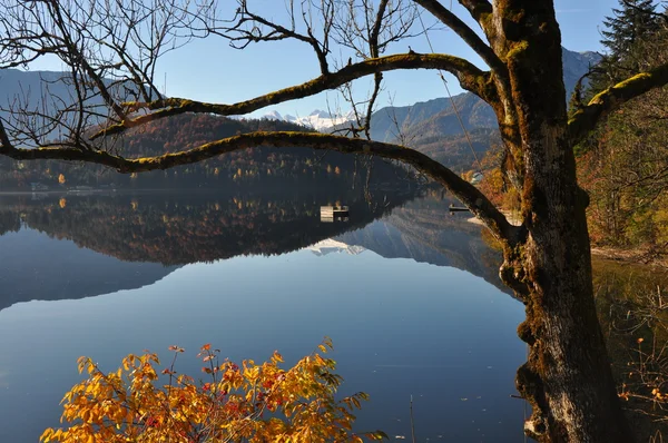 Sonbaharın dağ gölü — Stok fotoğraf