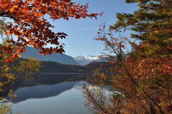 Alpine meer in de herfst — Stockfoto