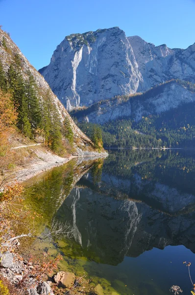 Schöne Reflexion im alpinen See Stockbild
