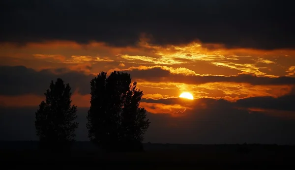 Solnedgång Stockbild