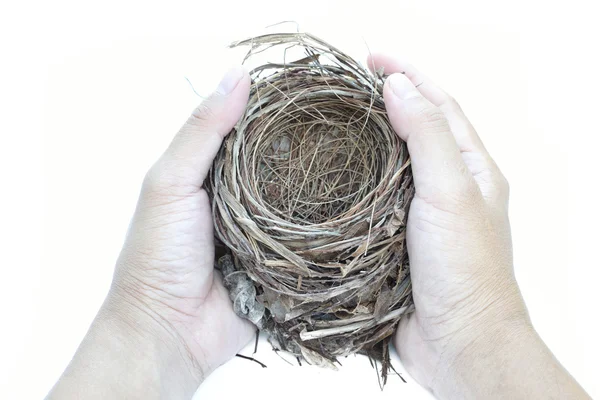 Hold nest — Stock Photo, Image