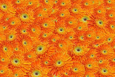 Single orange flowertiles clipart