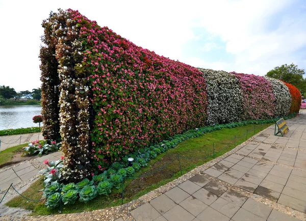 Túnel floral — Fotografia de Stock