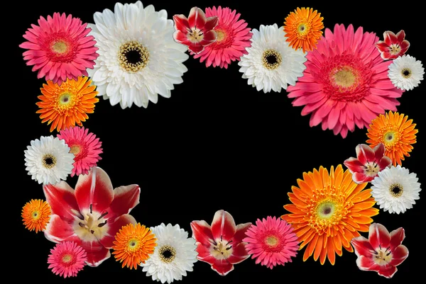 Flower frame — Stock Photo, Image