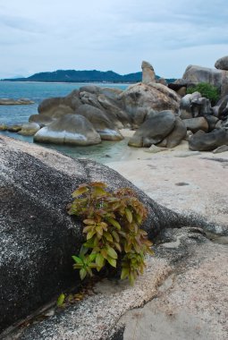 Hinta rock ko samui