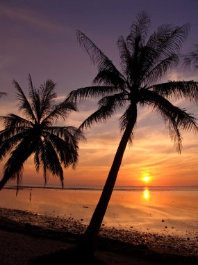 Samui beach