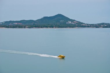 Denizde sürat teknesi