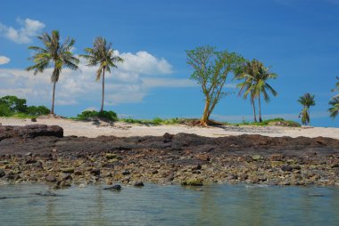 Samui beach