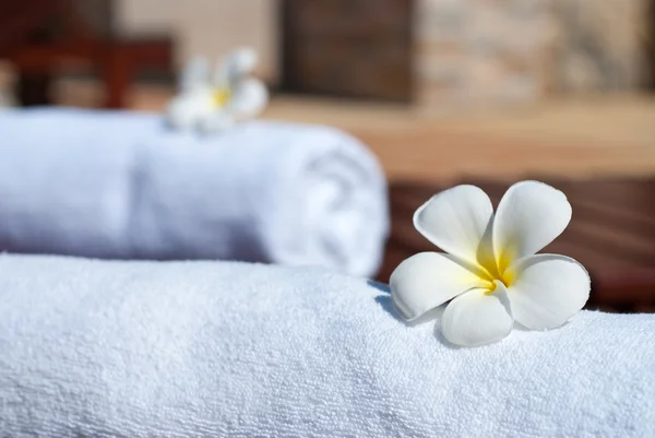 stock image Leelawadee flower in spa