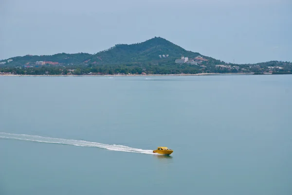 stock image Speed boat in the sea