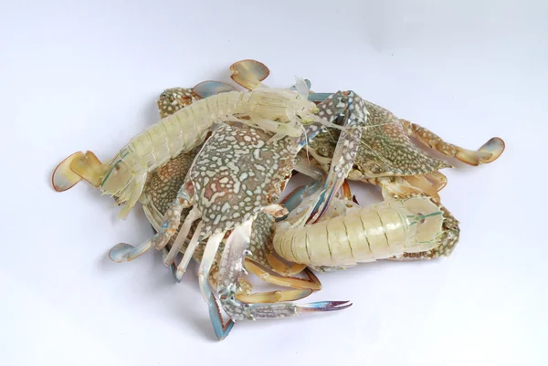 在泰国生螃蟹被隔离的白色背景 — 图库照片
