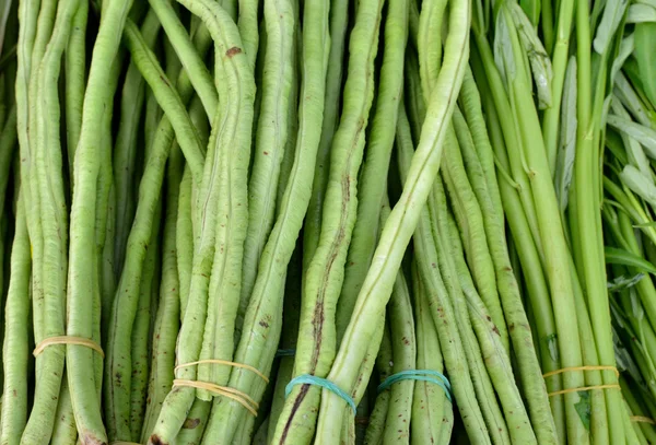 Stock image Raw vegetable