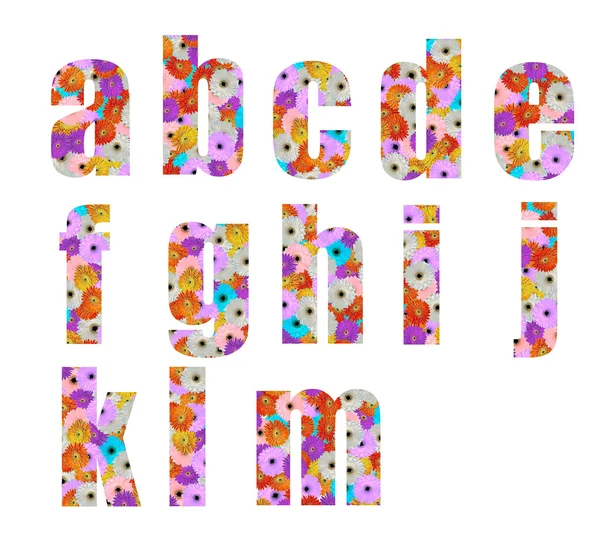Floral font letter a to m — Stock Photo, Image